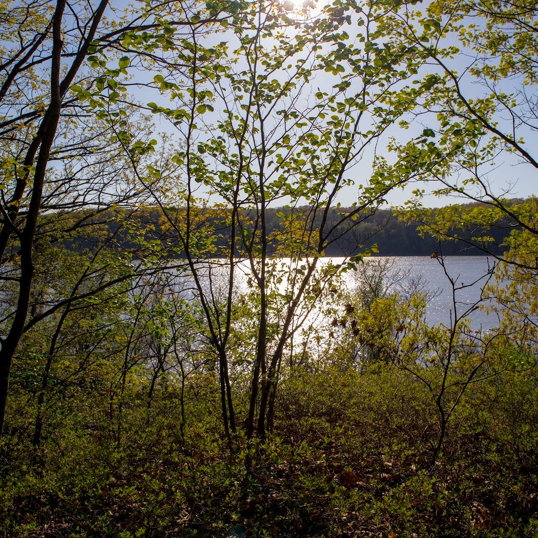 Fern Tor Nature Preserve 3