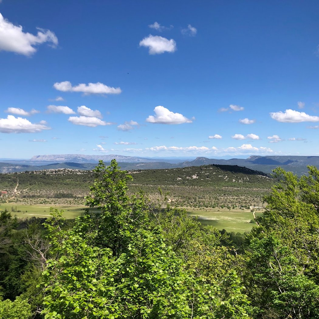 Forêt de la Sainte-Baume 3