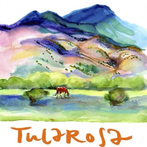 TULAROSA 1