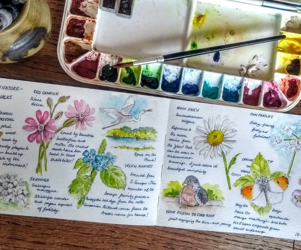 Intro to Nature Journaling