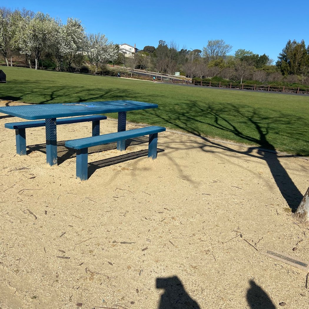 Memorial Park 3