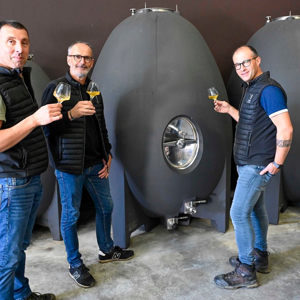 Vignoble Malidain 4