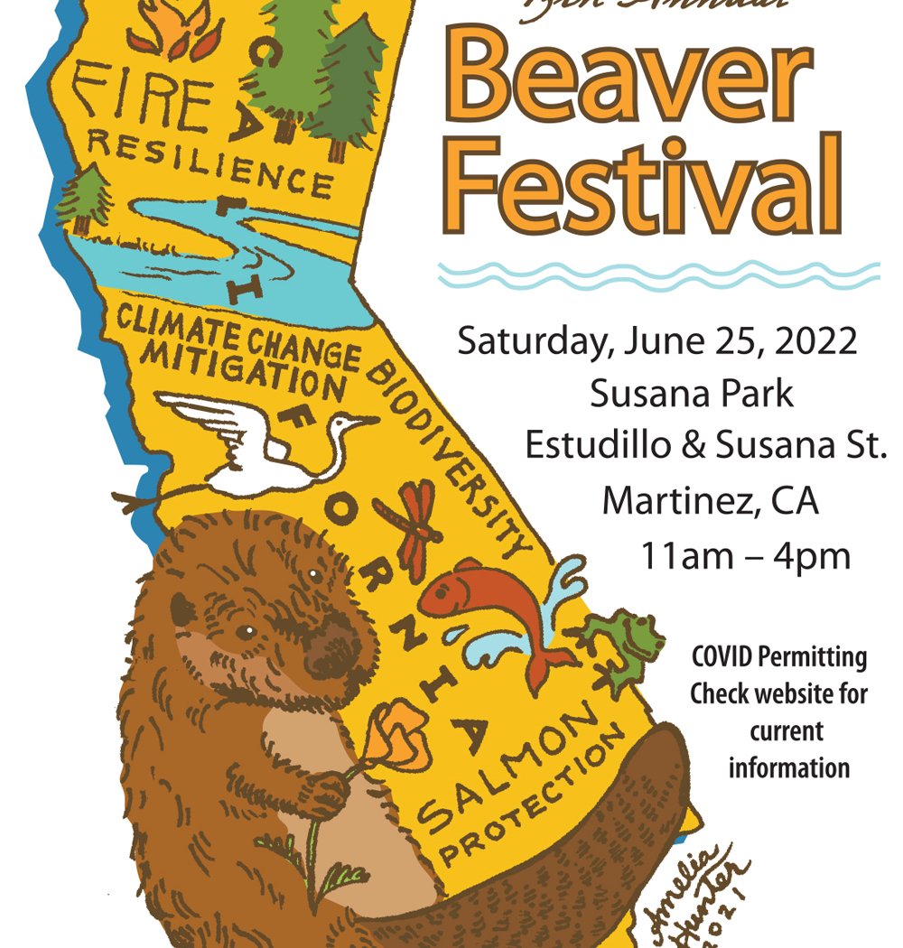 Beaver Festival XIII 1