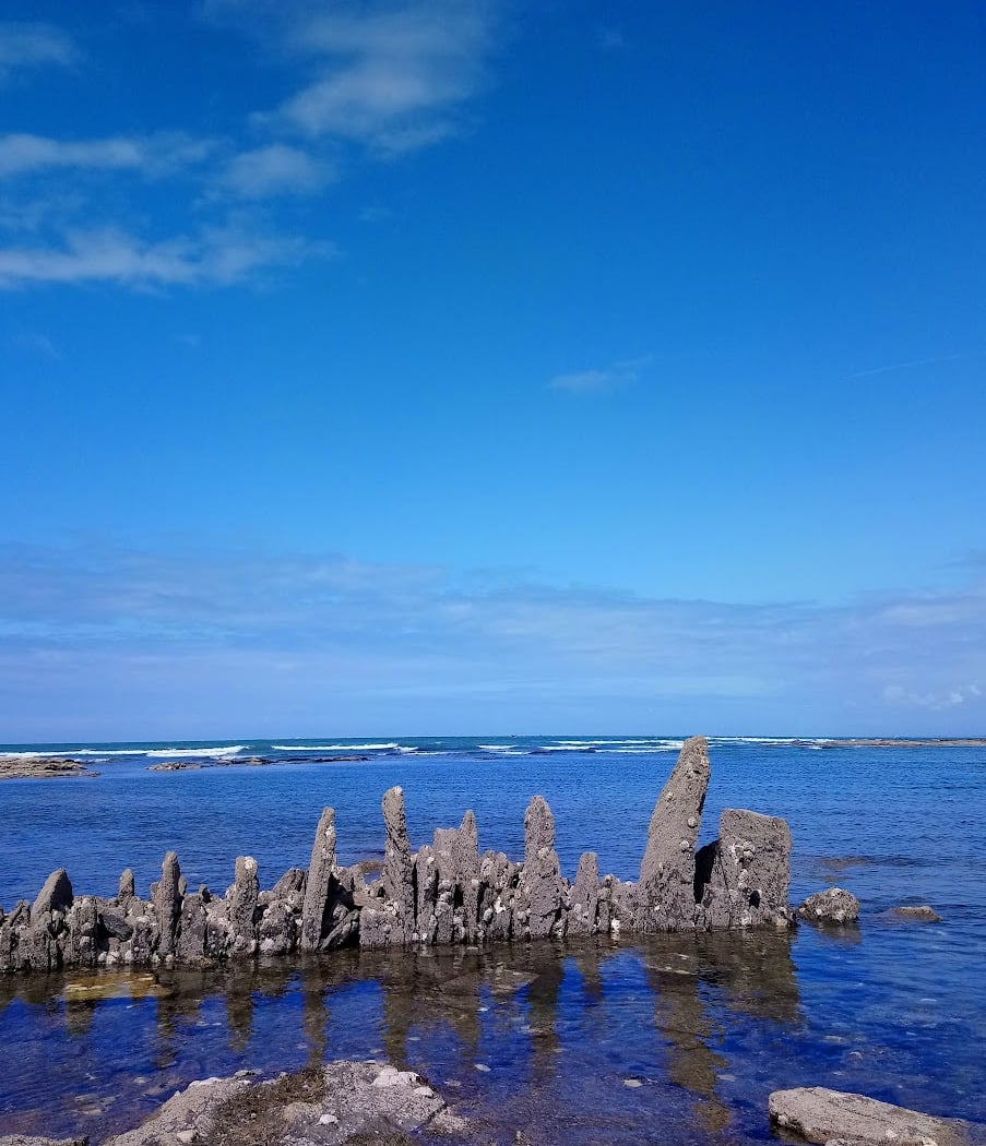 Exposition "Le littoral en mouvement" 1