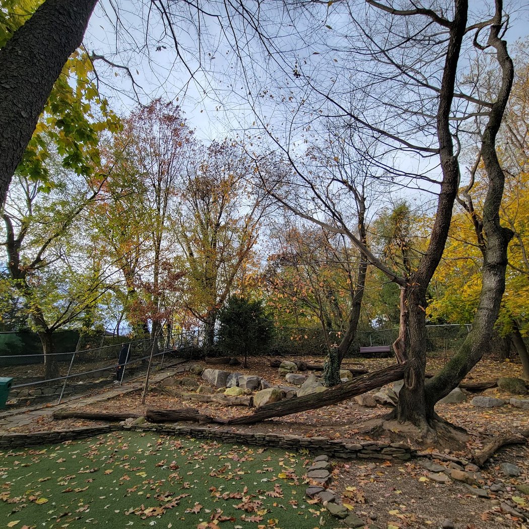 Glen Oaks Village Enchanted Forest Dog Park - Private 3