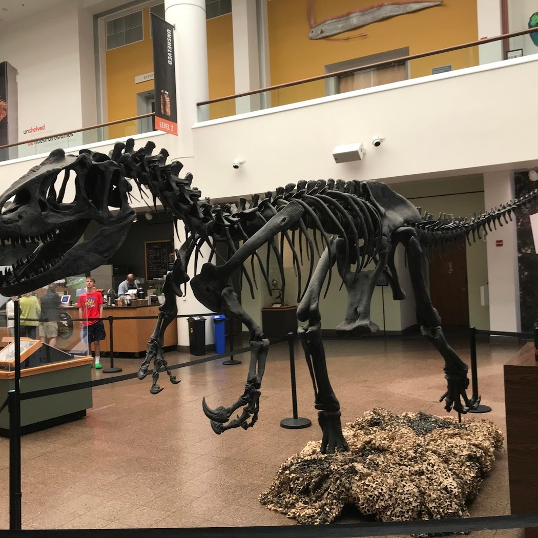 San Diego Natural History Museum 2