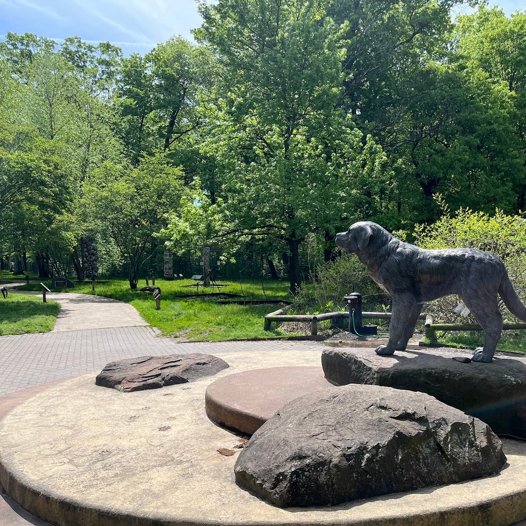 South Mountain Dog Park 3
