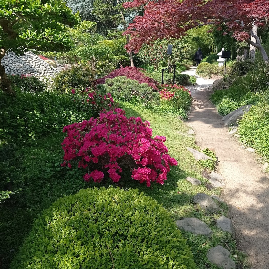 Visite saisonnière : l'automne au Japon 3
