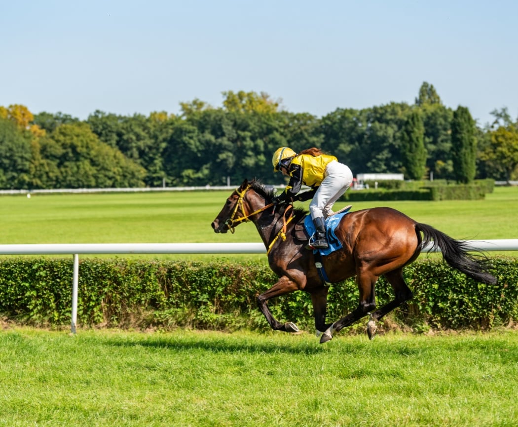 Hippodrome de Pau 2