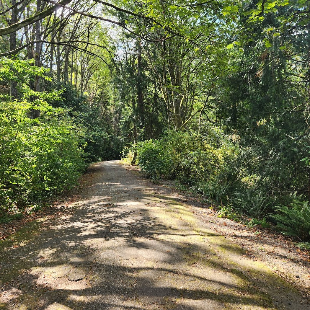 Restoration work party at Schmitz Preserve Park 3