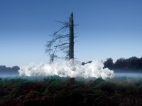 Charles Pétillon 1