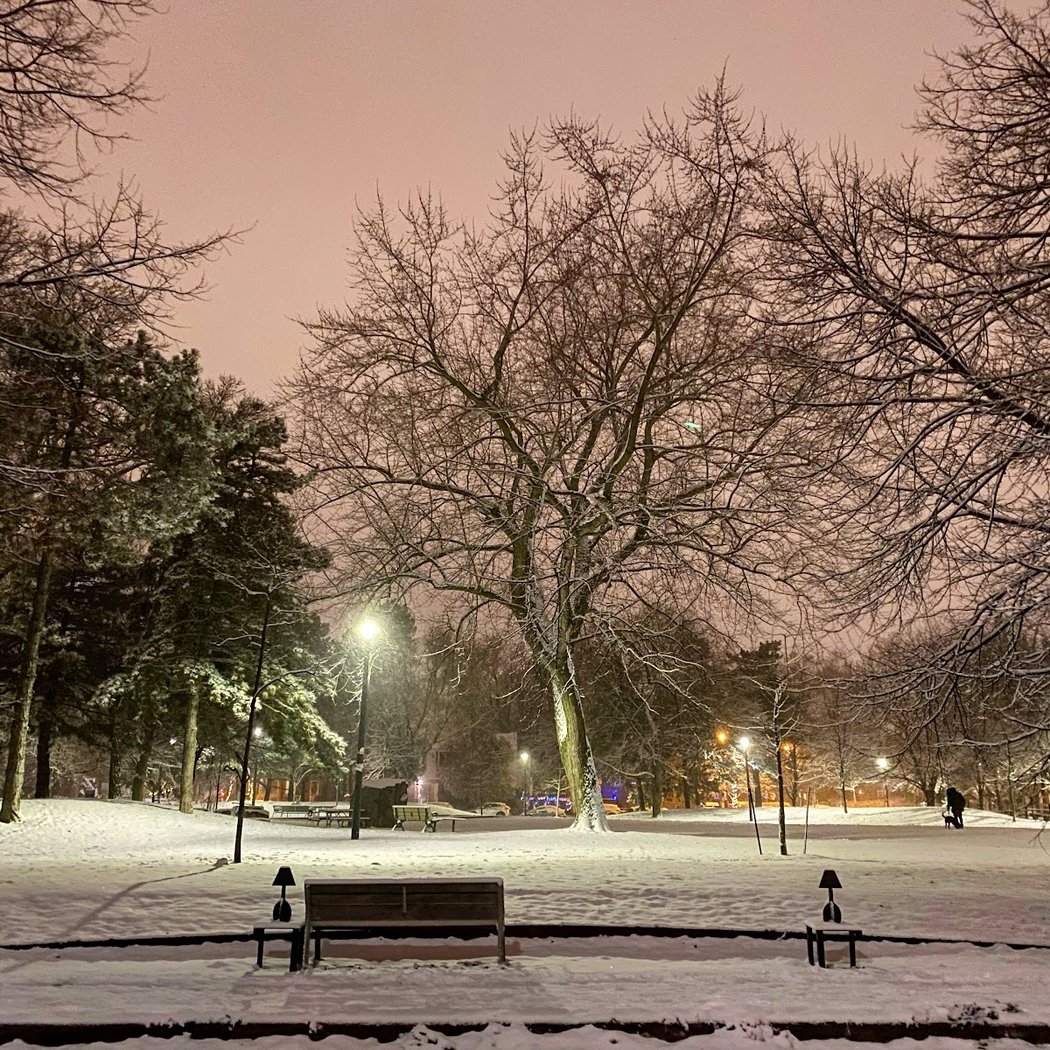 Vermont Square Park 1