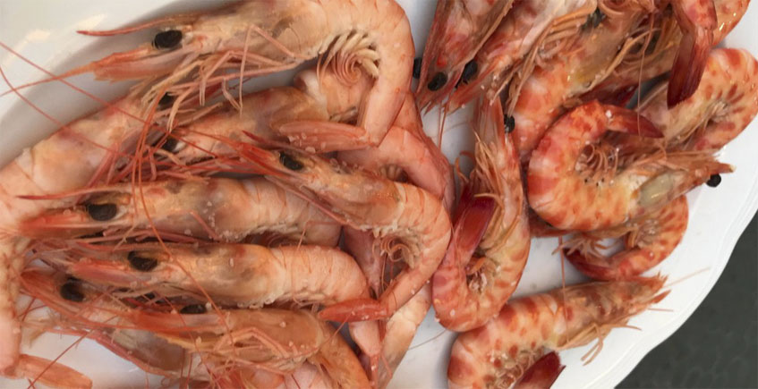 Mariscos Emilio - La Ostrería 2