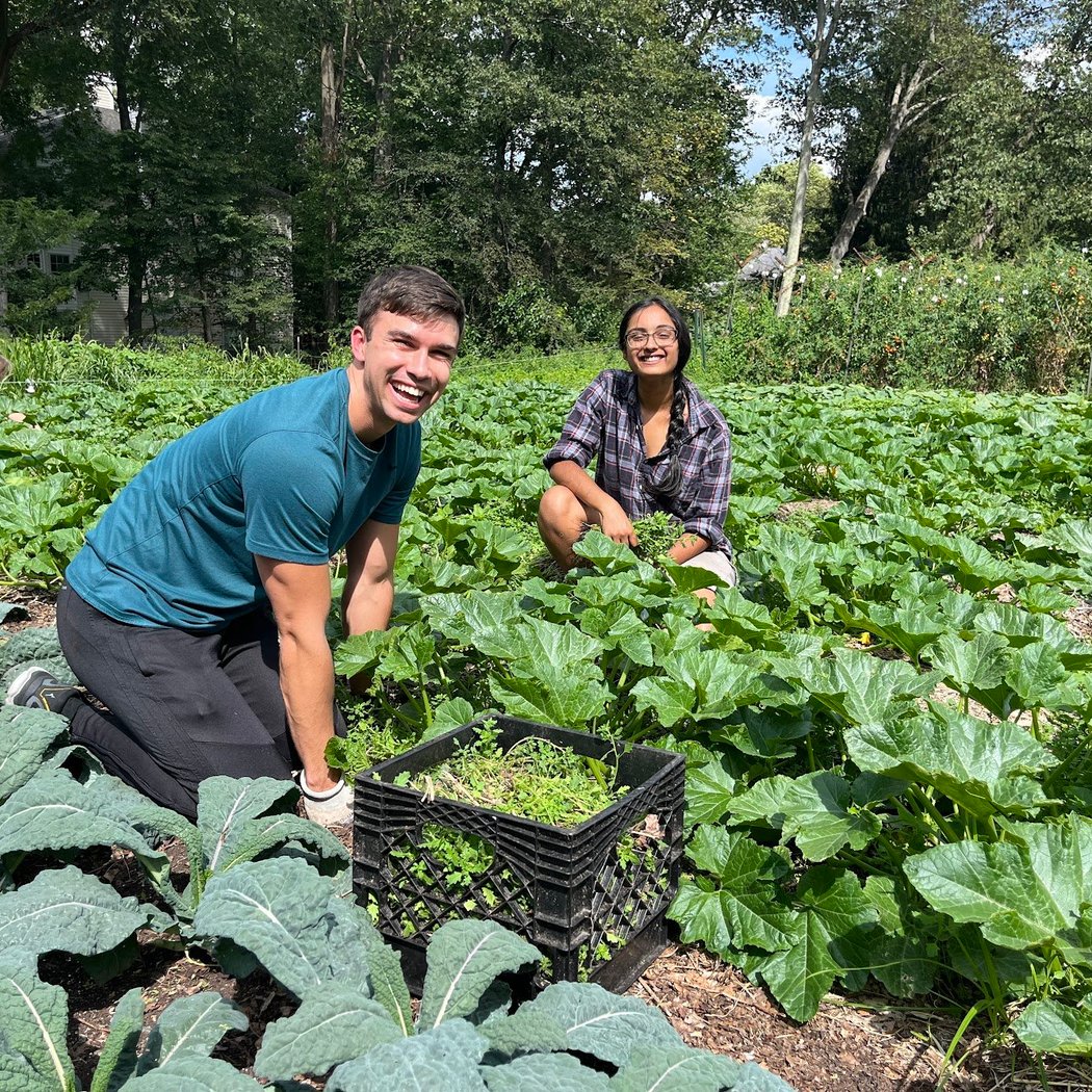 Sunday Farm Volunteer Day 2