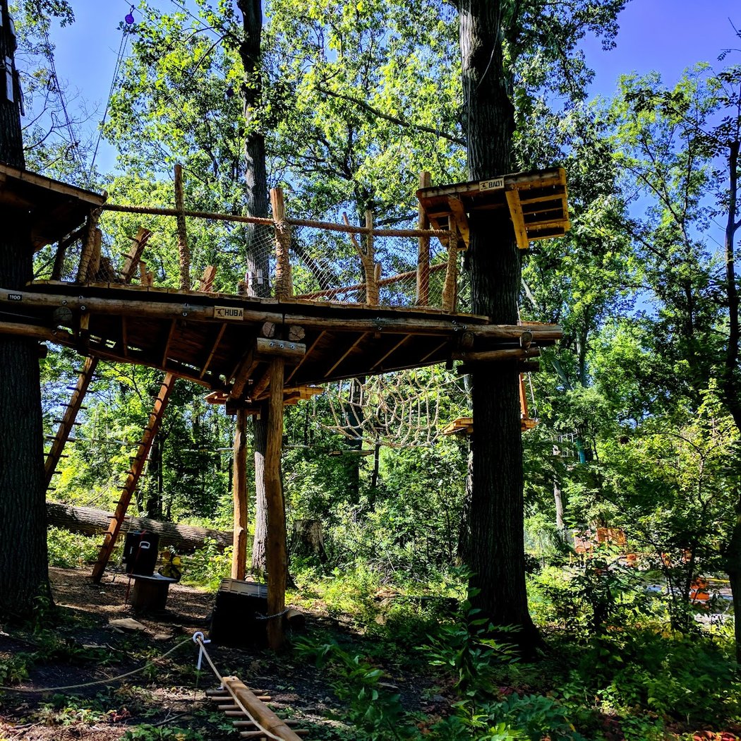 Bronx Zoo Treetop Adventure 5