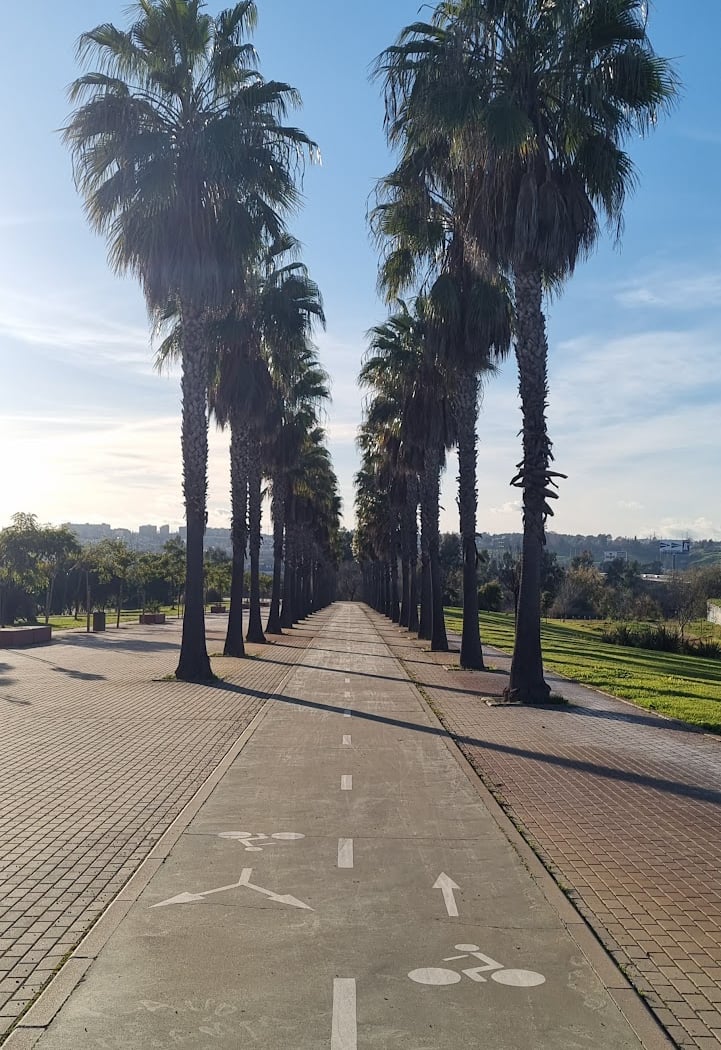 Vega de Triana 1