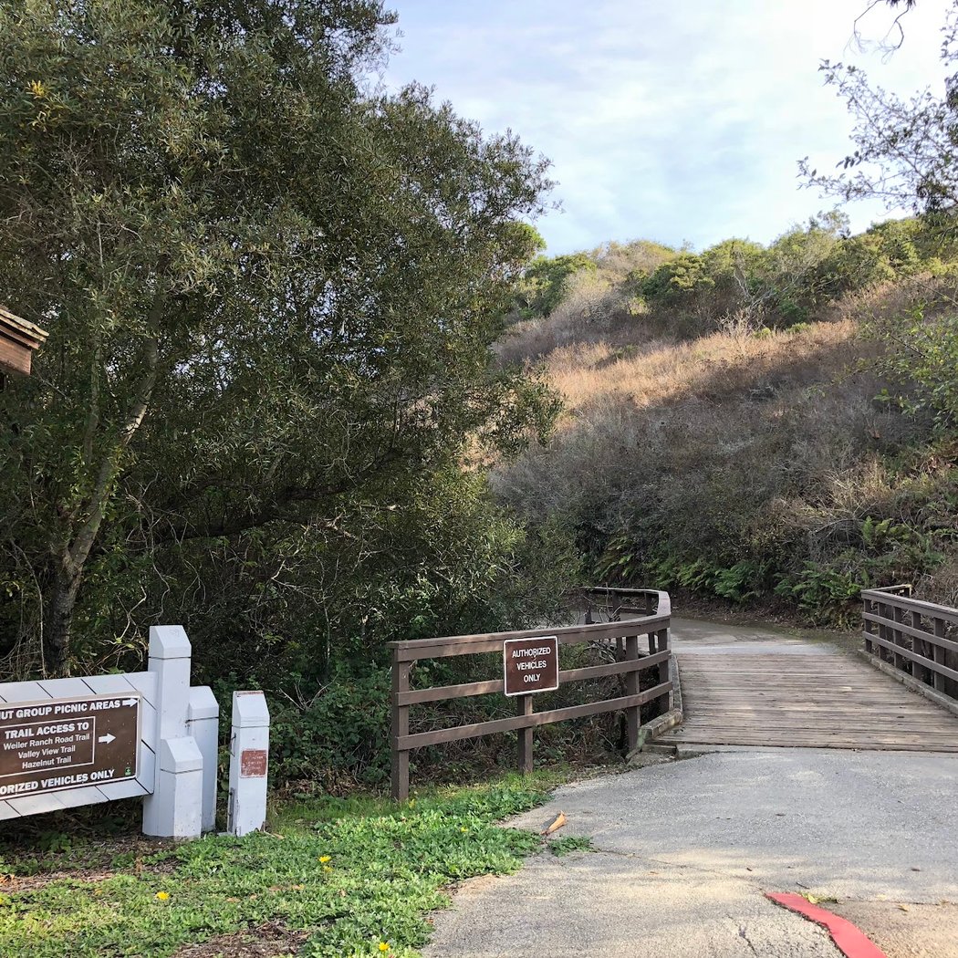 Rattlesnake Ramble 5K/10K/Half 2