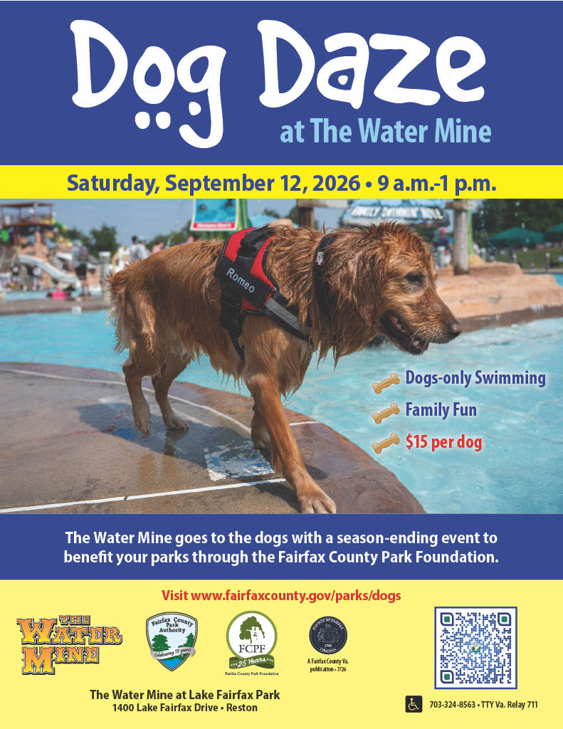 Dog Daze 1