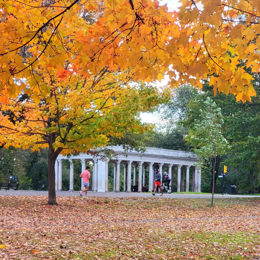 The Peristyle 1