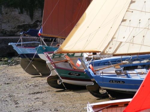 Rencontre des Coques en Bois 2