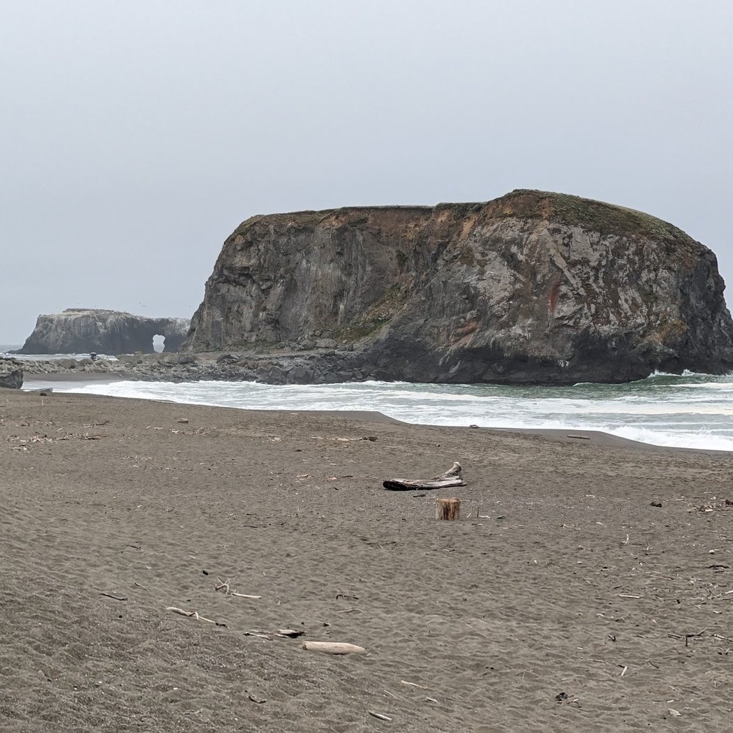 2026 Seal Watch Volunteer Training 3