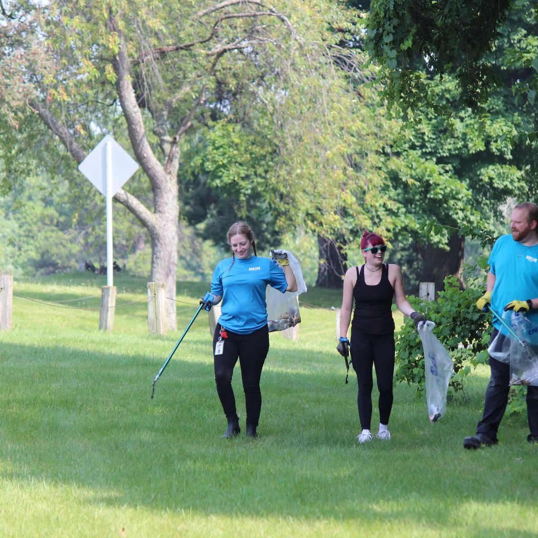 Weekly Clean: James C. Nelson Park 3