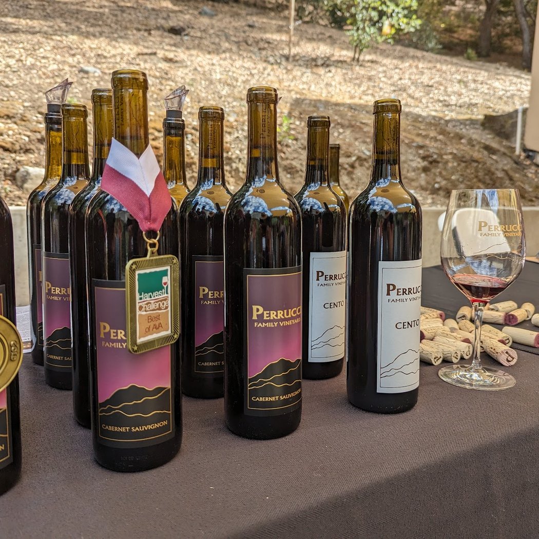 Perrucci Family Vineyard 2
