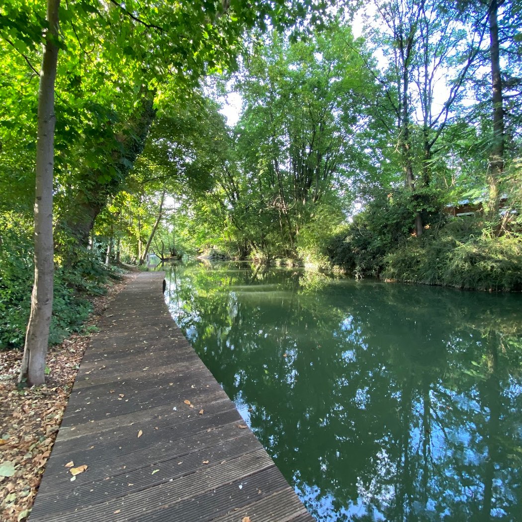 Bras du Chapitre 1