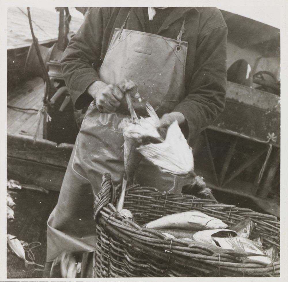 La pêche au-delà du cliché, inédits de la collection 3