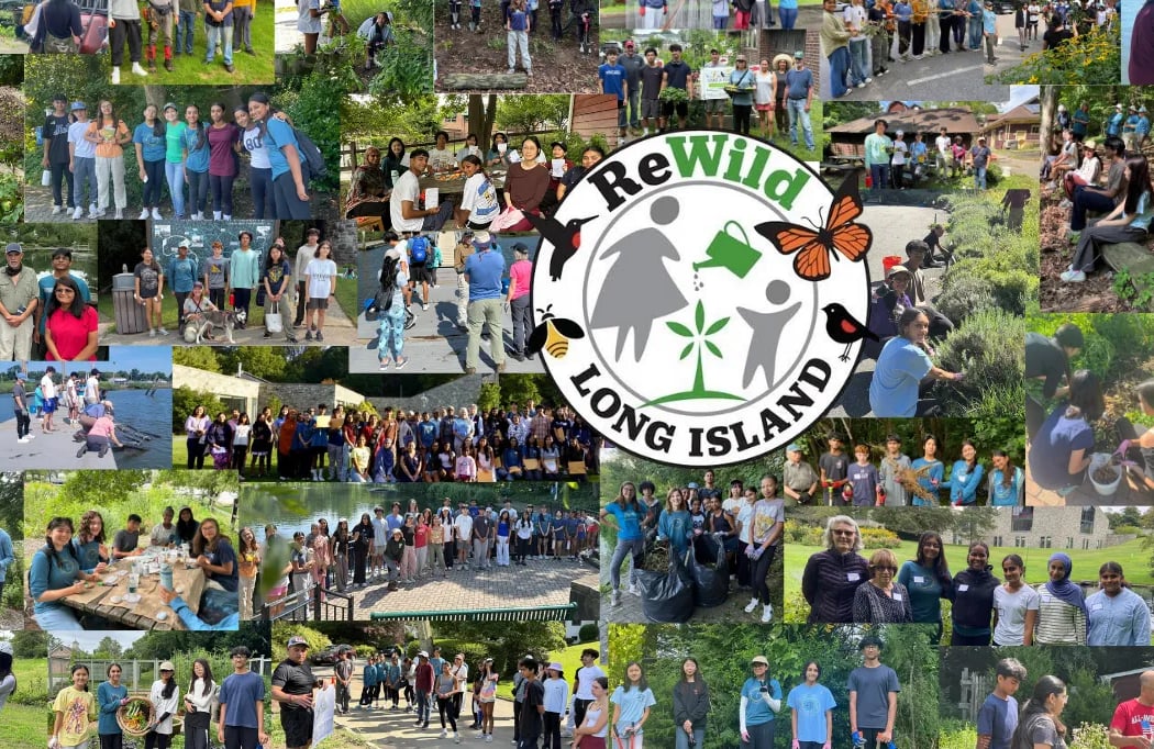 Commendation Ceremony 2026 - ReWild Summer Program (North Shore) 1