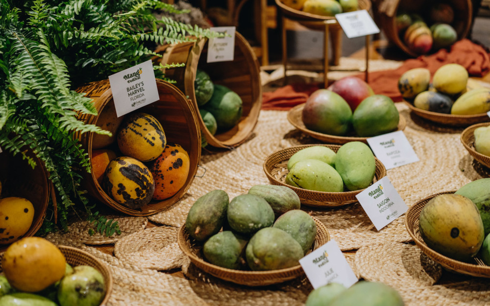 Mango Festival 3
