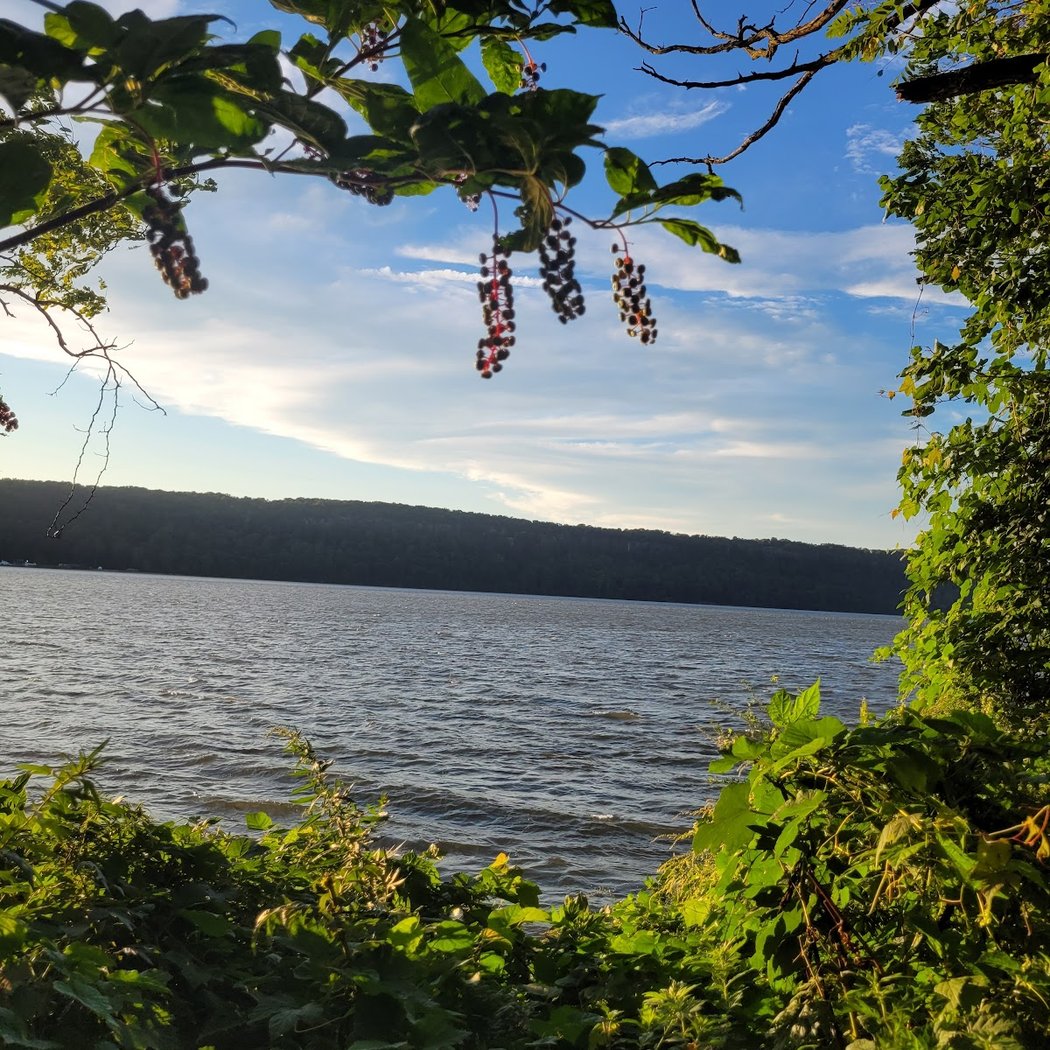 Overlook Meadow 1