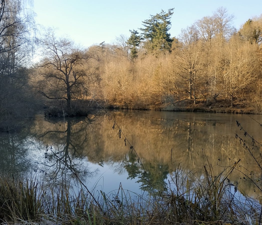 Parc des Côtes de Montbron 2