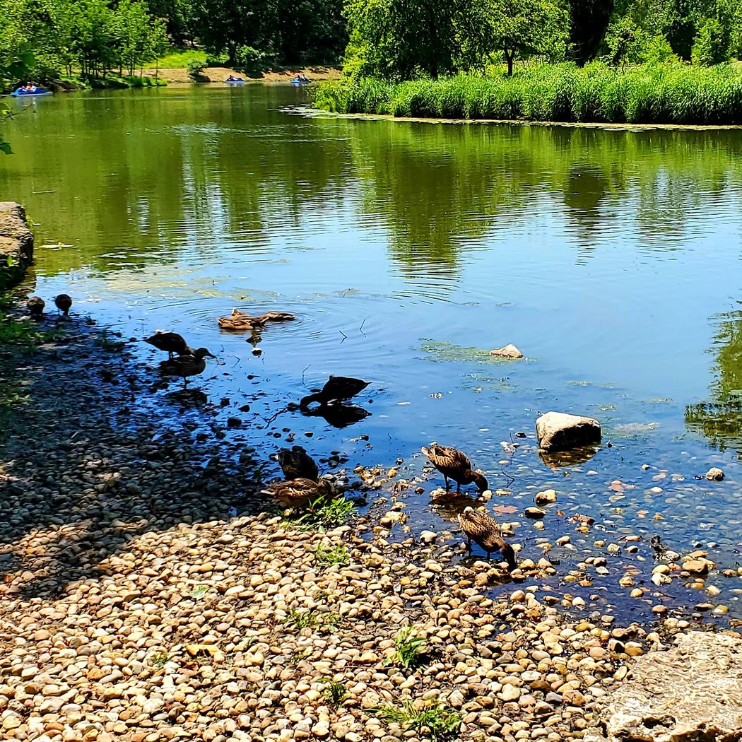 Post-Dispatch Lake 3