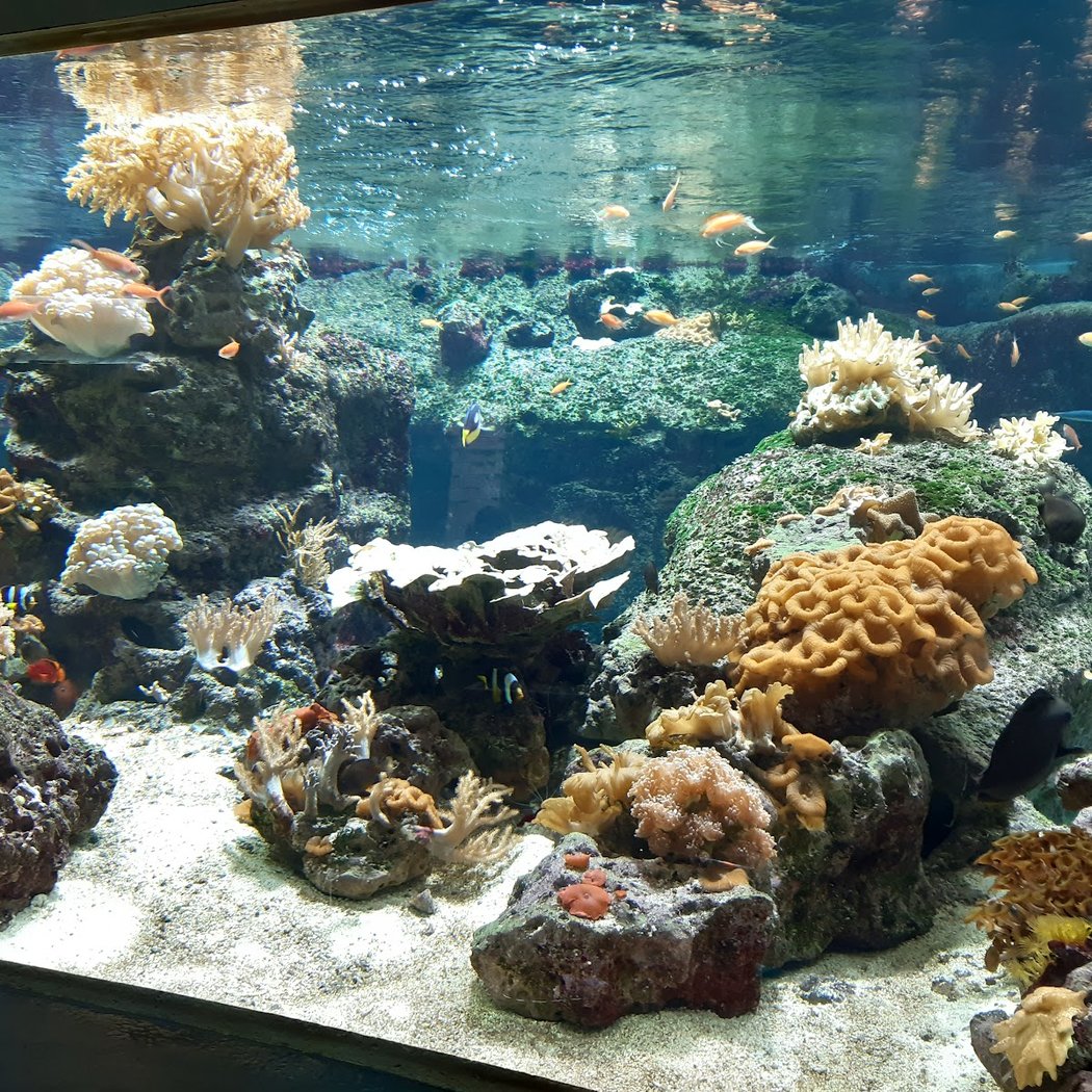 AQUATIS Aquarium-Vivarium 3