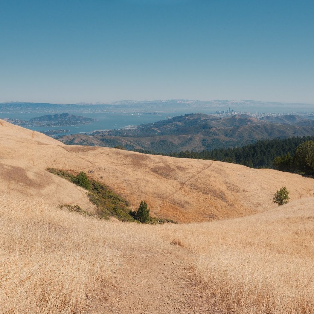 Bolinas Ridge 2