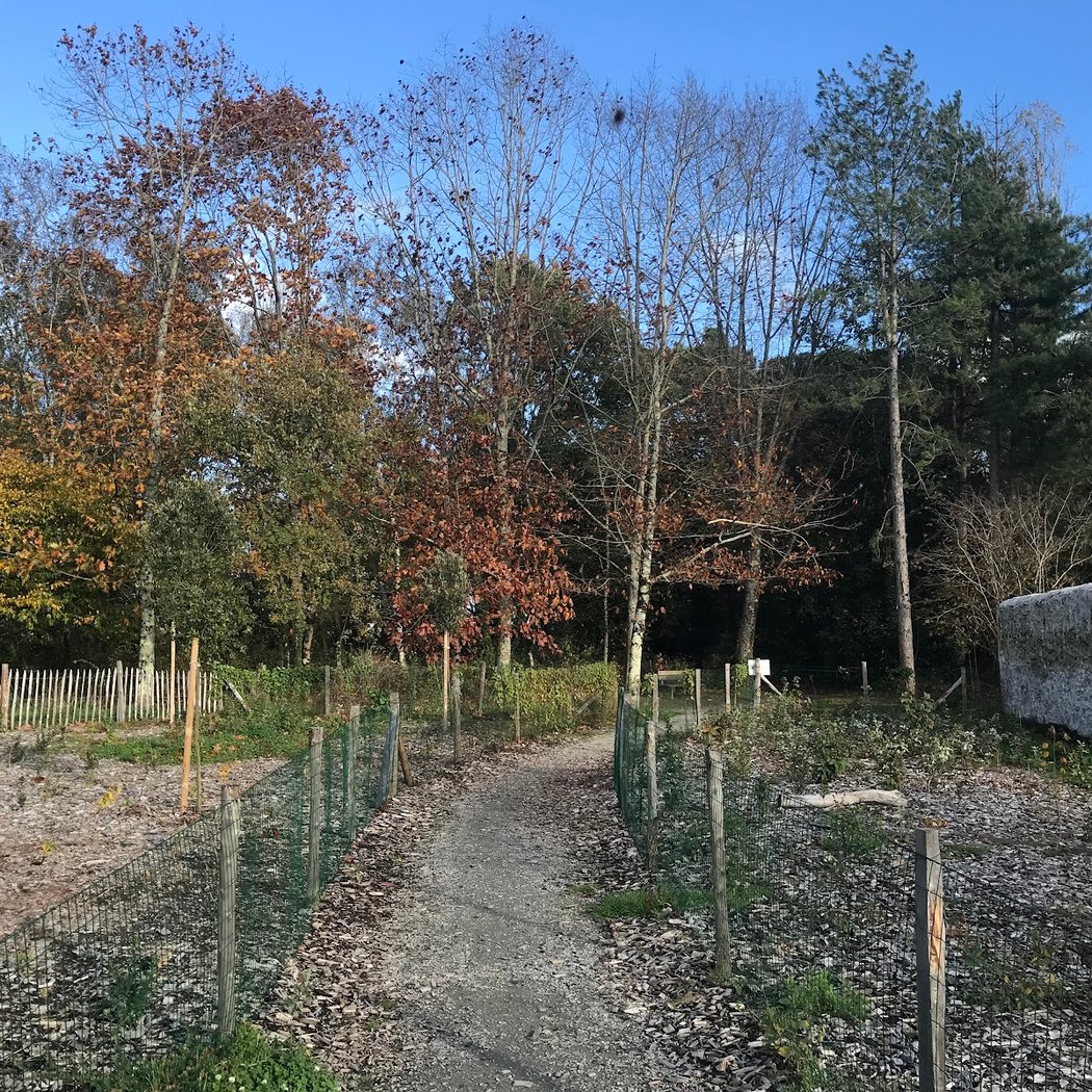 Naudières Woods 3