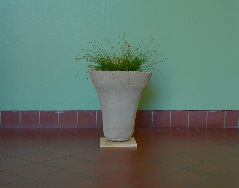 Monica Rodriguez: Californiana 1