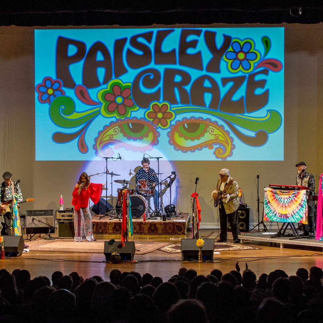 Paisley Craze 1