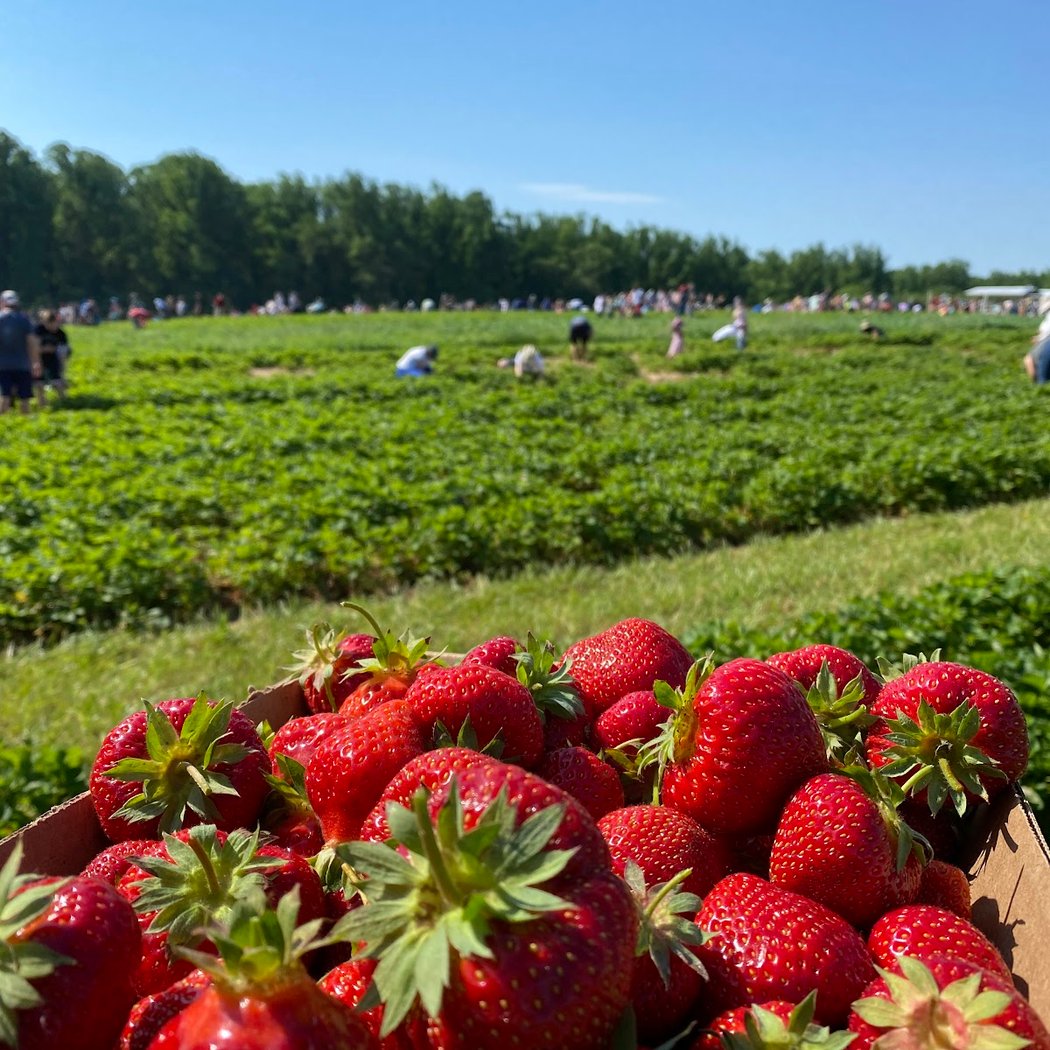 Larriland Farm 3