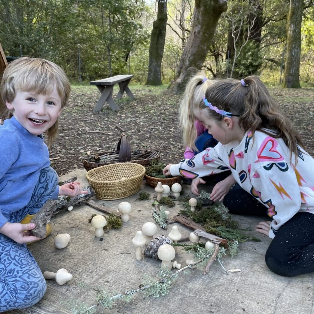 Mushroom Weekend 1