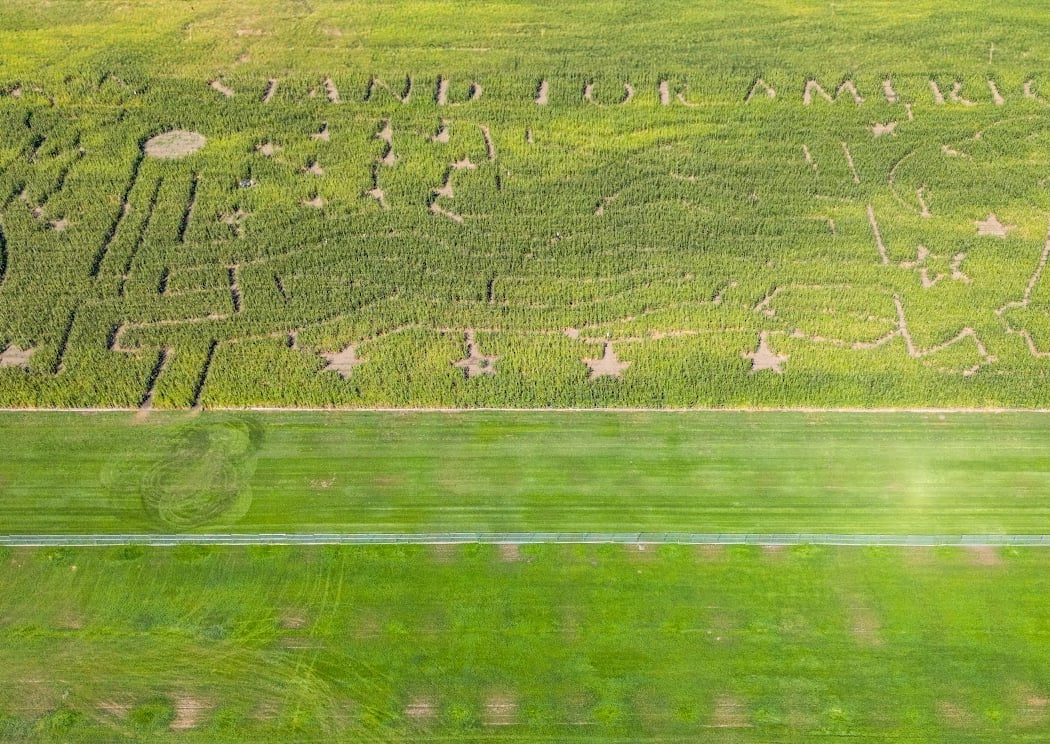 Big Horse Corn Maze 3