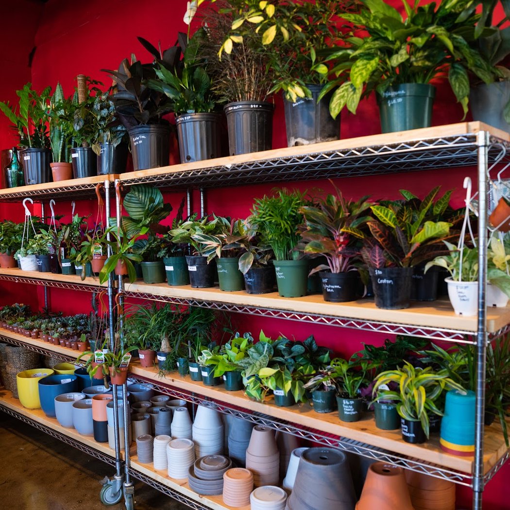Mae Mae Café & Plant Shop 2