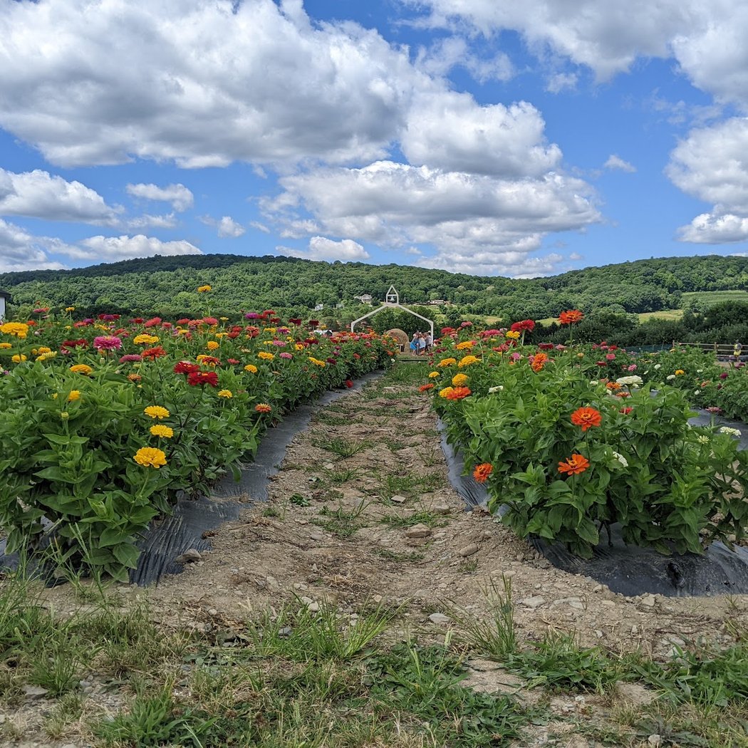 Weed Orchards & Winery 1
