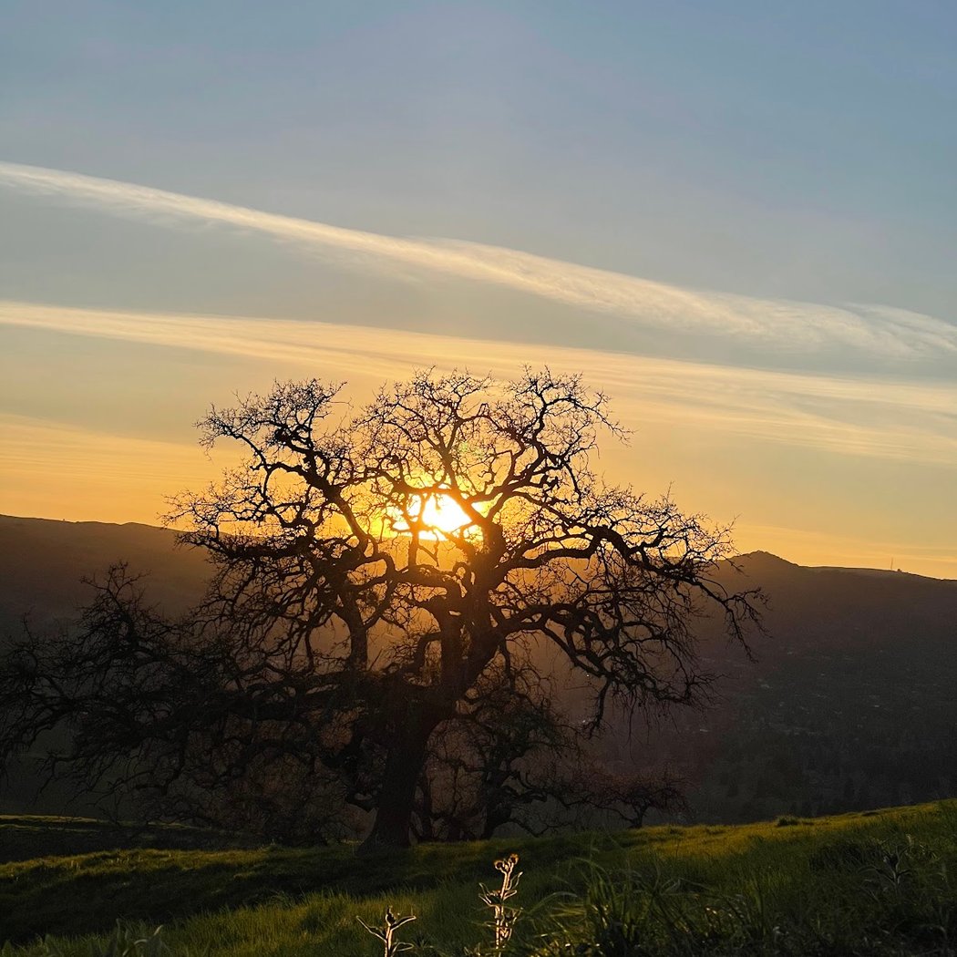 Sycamore Valley Open Space South 1
