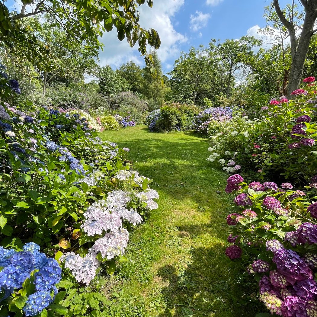 Jardin Shamrock 1