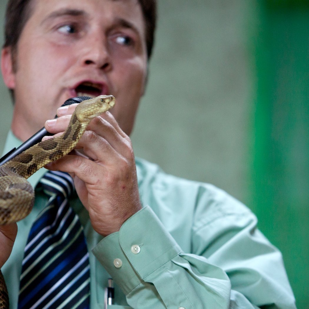 Reptile Meet and Greet 2