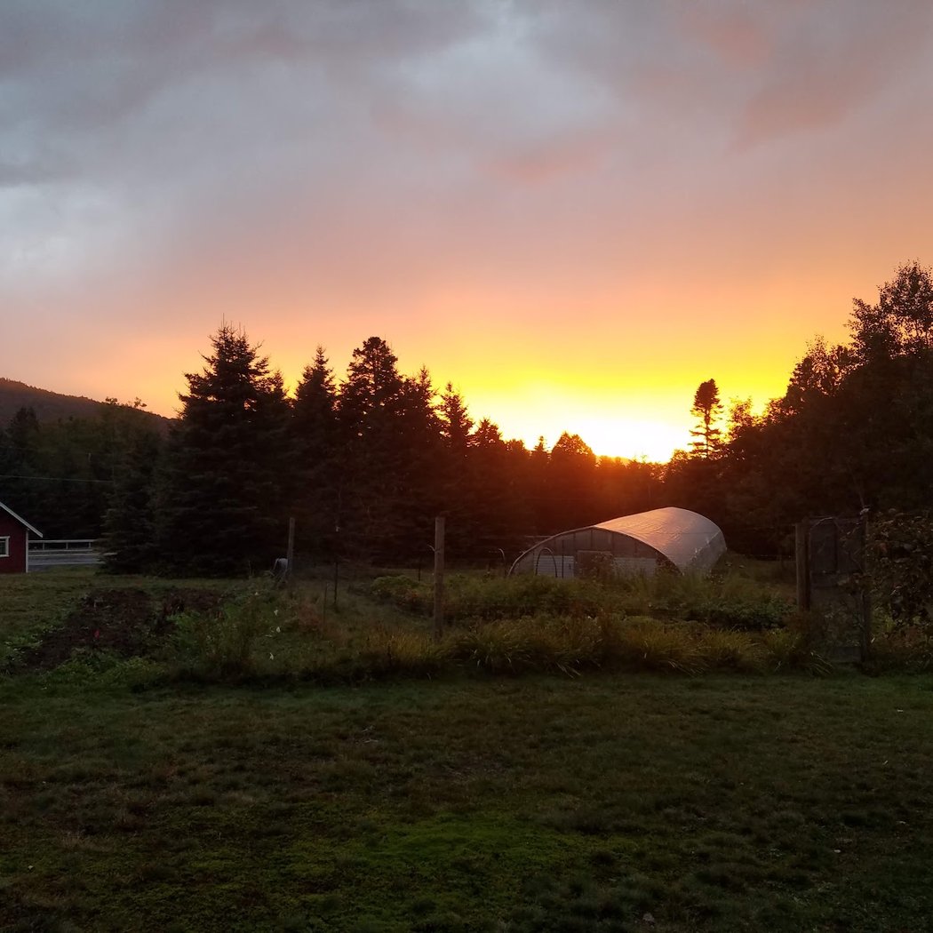 Forever Wild Farm 1