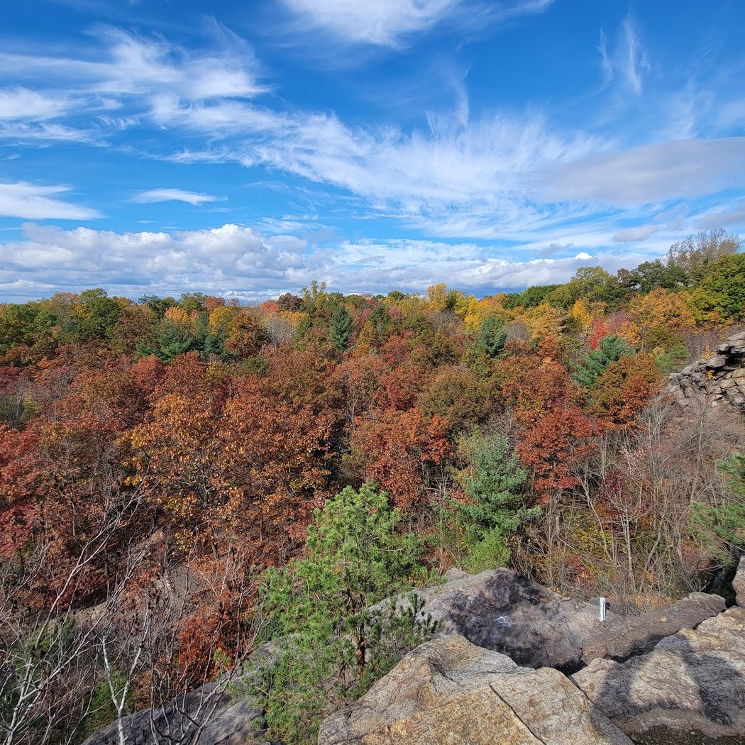Cranberry Lake Preserve 1