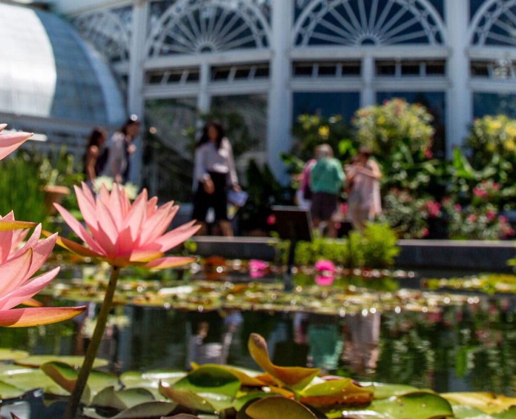 Free Grounds Admission Wednesdays 2